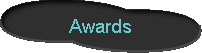  Awards 
